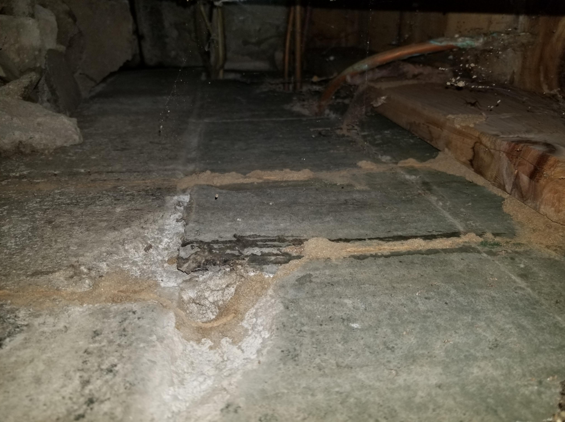 Termite Control