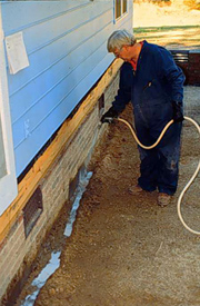 Termite Control